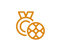 Elaboração de Projetos e Eventos Esportivos